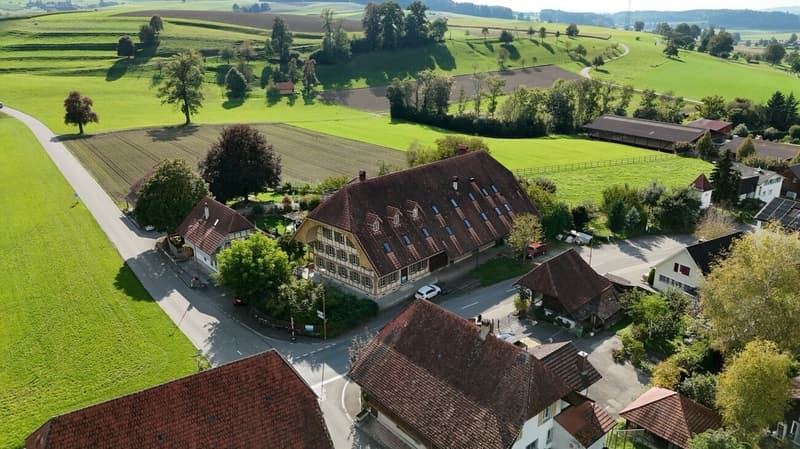 Appartamento spazioso di 8,5 locali con cantina a volta e grande giardino (11)