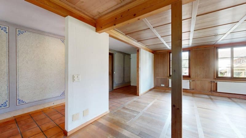 Appartamento spazioso di 8,5 locali con cantina a volta e grande giardino (3)