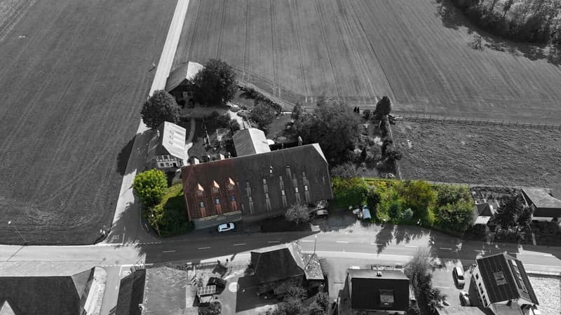 Appartamento spazioso di 8,5 locali con cantina a volta e grande giardino (10)