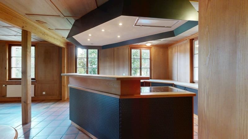 Appartamento spazioso di 8,5 locali con cantina a volta e grande giardino (2)
