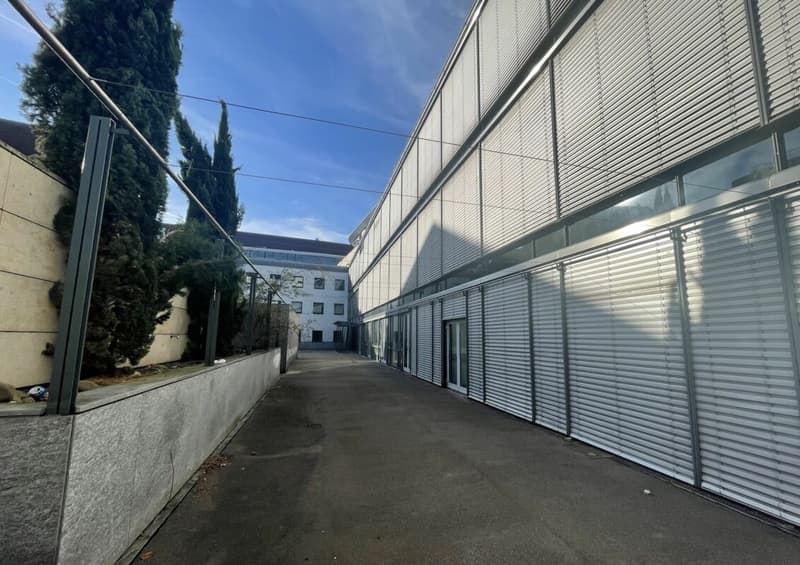 Nel cuore di Aarau | Apfelhausenweg 10 | 374 m² (3)