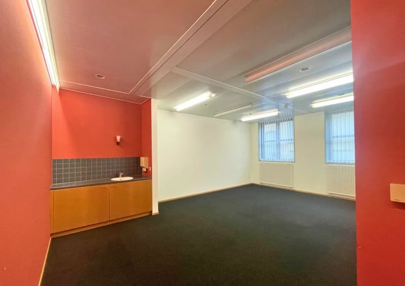 Nel cuore di Aarau | Apfelhausenweg 10 | 374 m² (16)