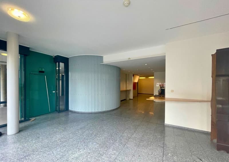 Nel cuore di Aarau | Apfelhausenweg 10 | 374 m² (7)