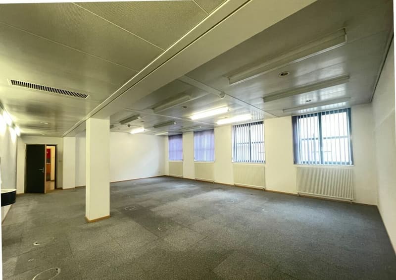 Nel cuore di Aarau | Apfelhausenweg 10 | 374 m² (13)