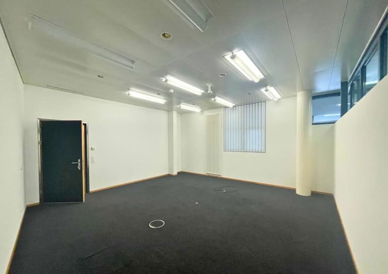 Nel cuore di Aarau | Apfelhausenweg 10 | 374 m² (11)