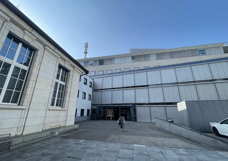 Nel cuore di Aarau | Apfelhausenweg 10 | 374 m² (4)