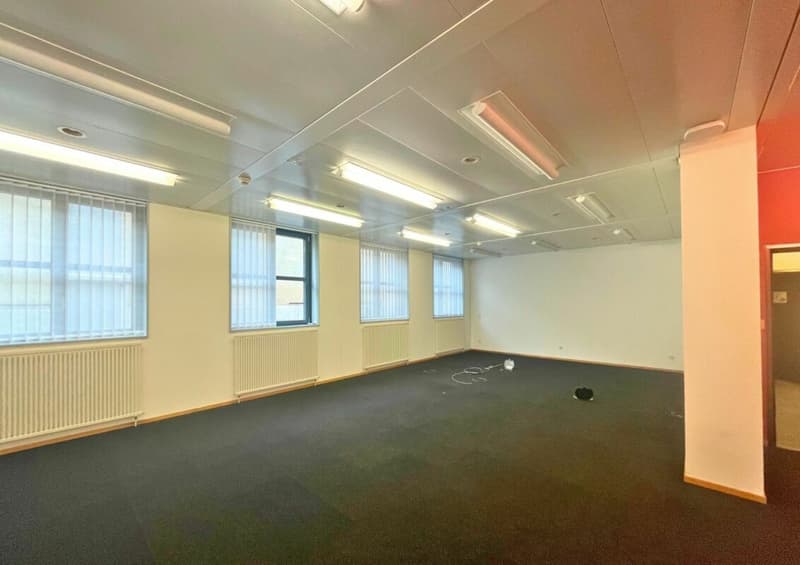 Nel cuore di Aarau | Apfelhausenweg 10 | 374 m² (15)