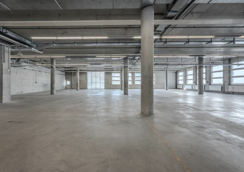 EG Gewerbe | Industriestrasse 42
