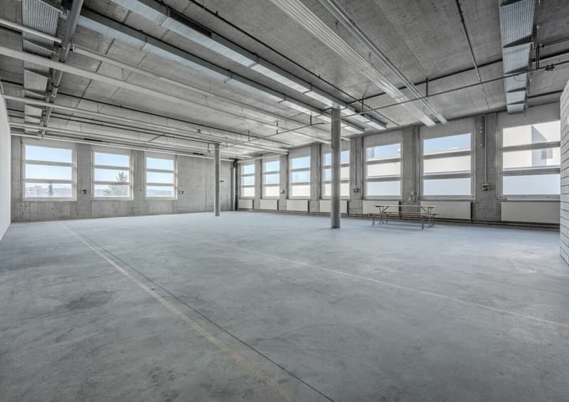 2. OG Werkstatt | Industriestrasse 42