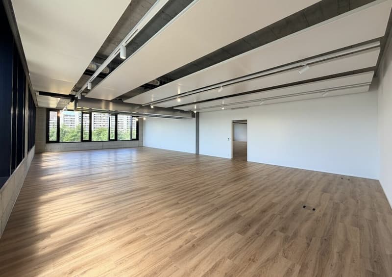 Büro/Gewerbe | Hang-Aar | 189 bis 271 m² (8)