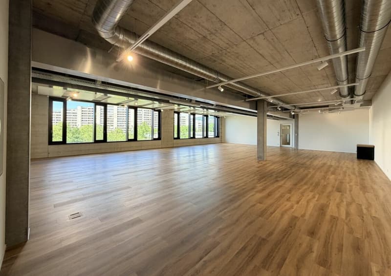 Büro/Gewerbe | Hang-Aar | 189 bis 271 m² (11)