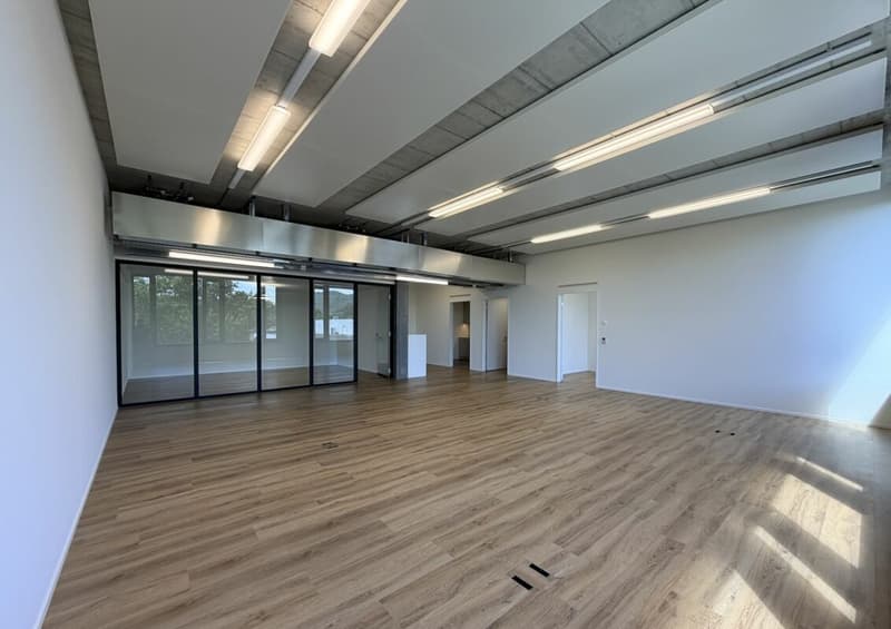 Büro/Gewerbe | Hang-Aar | 110 bis 131 m² (23)