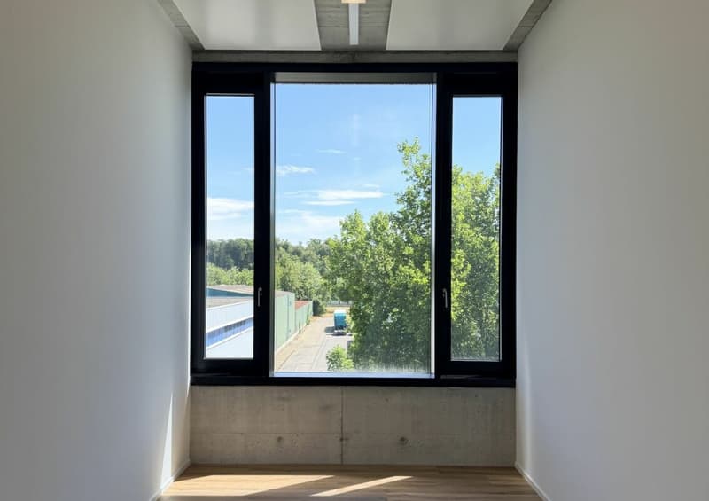 Büro/Gewerbe | Hang-Aar | 110 bis 131 m² (10)