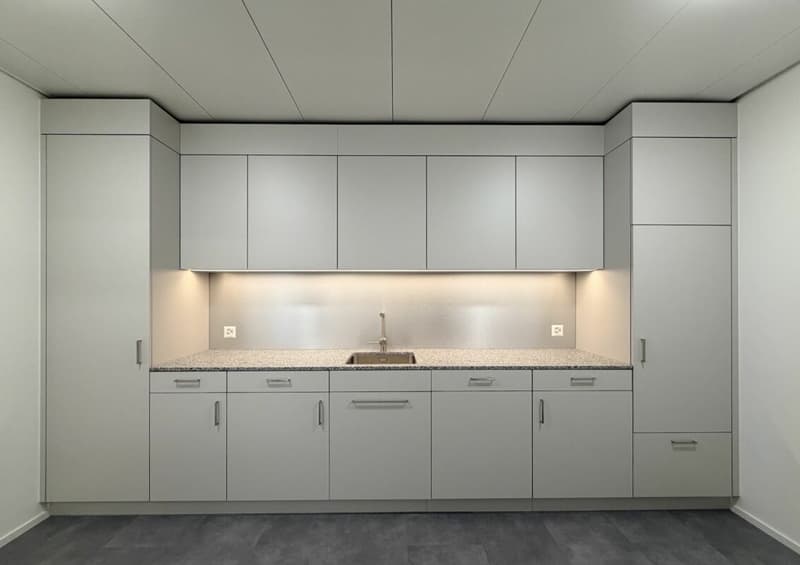 Büro/Gewerbe | Hang-Aar | 110 bis 131 m² (5)