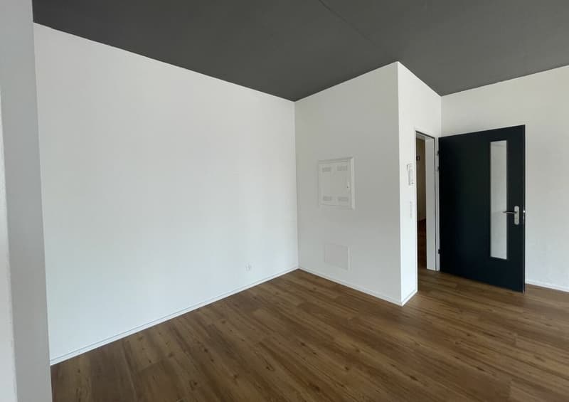 Auenpark Aarau Rohr | 78 m² (12)