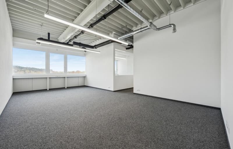 Quellmatten | Suhrenmattstrasse 29, Unterentfelden | 238 m² (5)