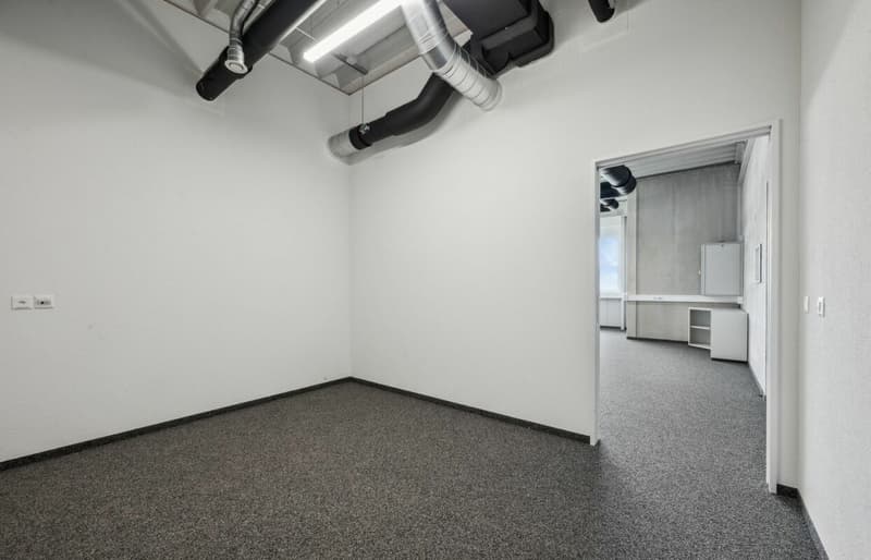 Quellmatten | Suhrenmattstrasse 29, Unterentfelden | 238 m² (11)