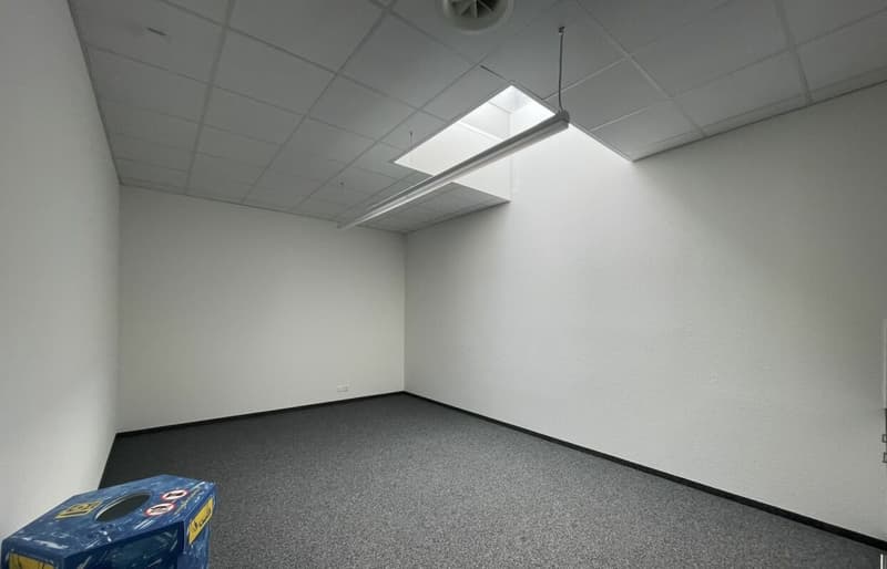Quellmatten | Suhrenmattstrasse 29, Unterentfelden | 238 m² (15)