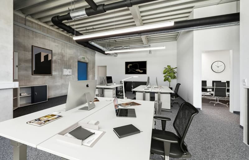 Quellmatten | Suhrenmattstrasse 29, Unterentfelden | 238 m² (1)