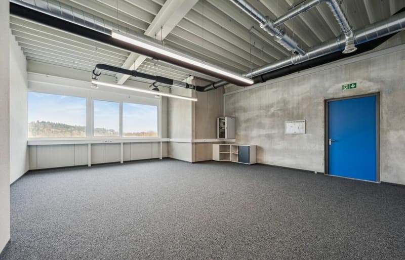 Quellmatten | Suhrenmattstrasse 29, Unterentfelden | 238 m² (4)