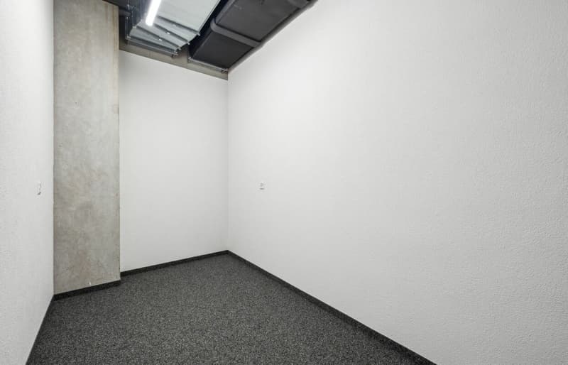 Quellmatten | Suhrenmattstrasse 29, Unterentfelden | 238 m² (13)