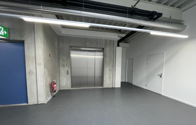 Quellmatten | Suhrenmattstrasse 29, Unterentfelden | 238 m² (18)
