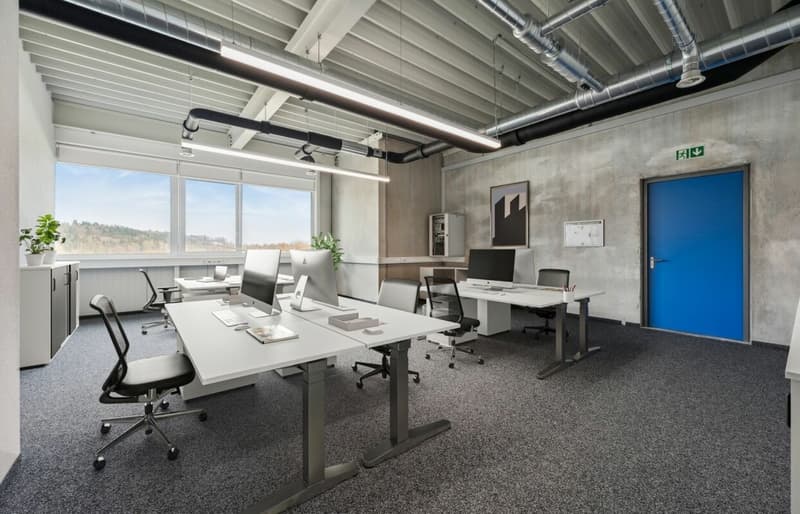 Quellmatten | Suhrenmattstrasse 29, Unterentfelden | 238 m² (3)