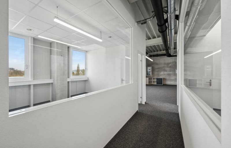 Quellmatten | Suhrenmattstrasse 29, Unterentfelden | 238 m² (7)