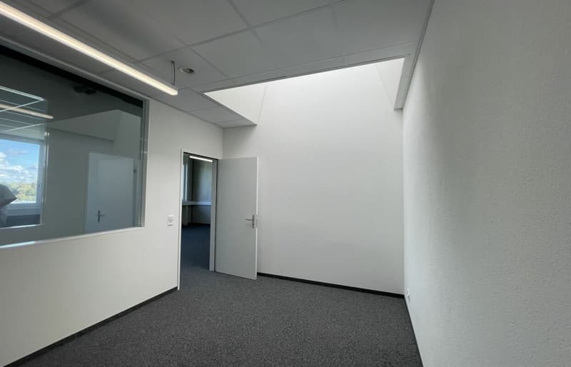 Quellmatten | Suhrenmattstrasse 29, Unterentfelden | 238 m² (8)