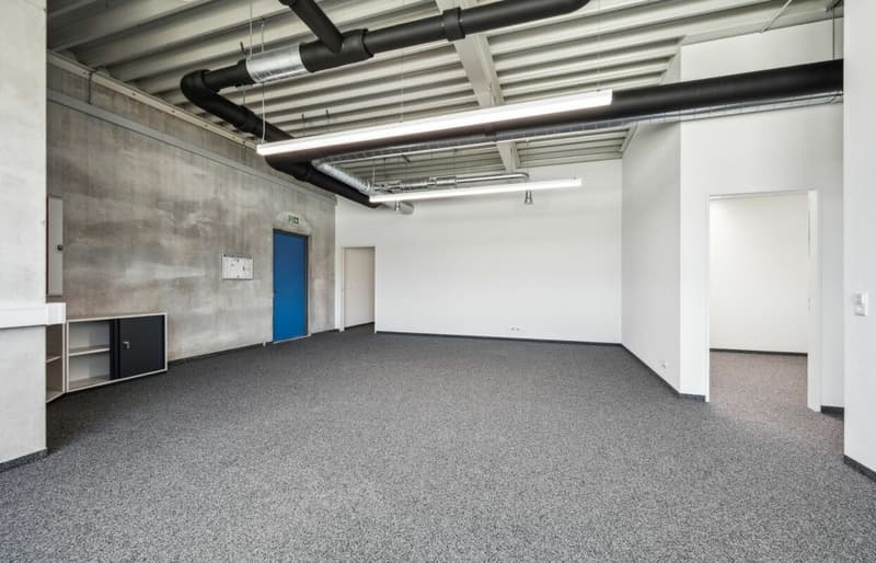 Quellmatten | Suhrenmattstrasse 29, Unterentfelden | 238 m² (2)
