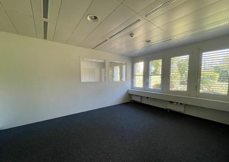 Kontr. Dispatch | 56 m²