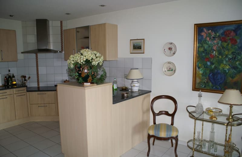 Appartamento terrazza 3.5 locali con vista lago a Bellerive in vendita (5)