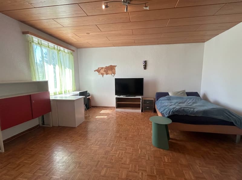 6.5-room single-family house with separate 1.5-room annex apartment | Garden paradise & panoramic view (12)