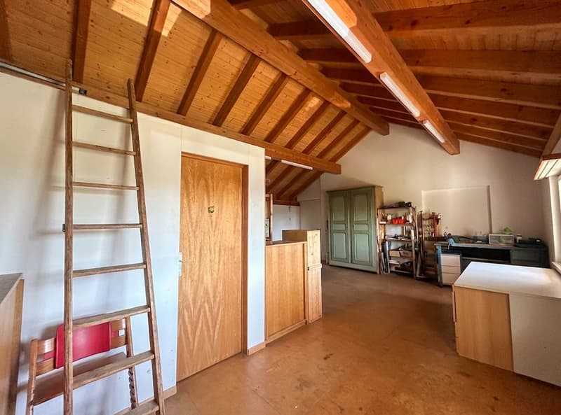 6.5-room single-family house with separate 1.5-room annex apartment | Garden paradise & panoramic view (10)