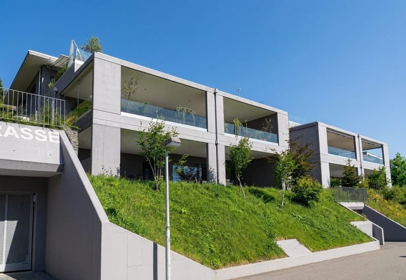 Appartement de 4,5 pièces avec terrasse et vue panoramique à Oberdorf SO (1)