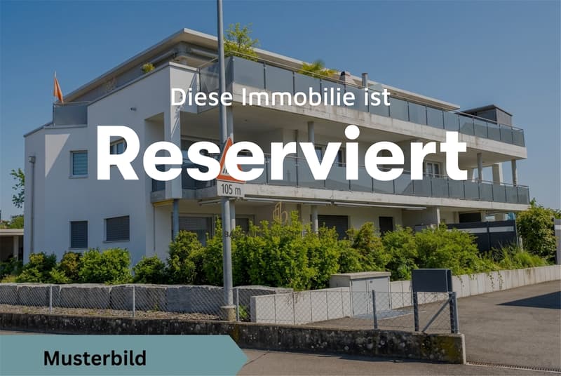EXCLUSIVE NEW BUILDINGS IN SUBINGEN - LAST AVAILABLE! (1)
