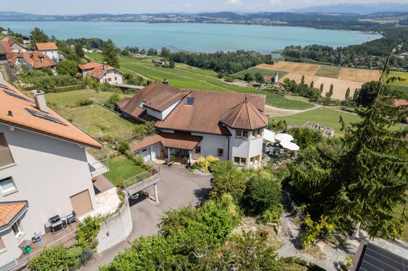 11-room villa with pool and panoramic lake view in Bellerive for sale (9)