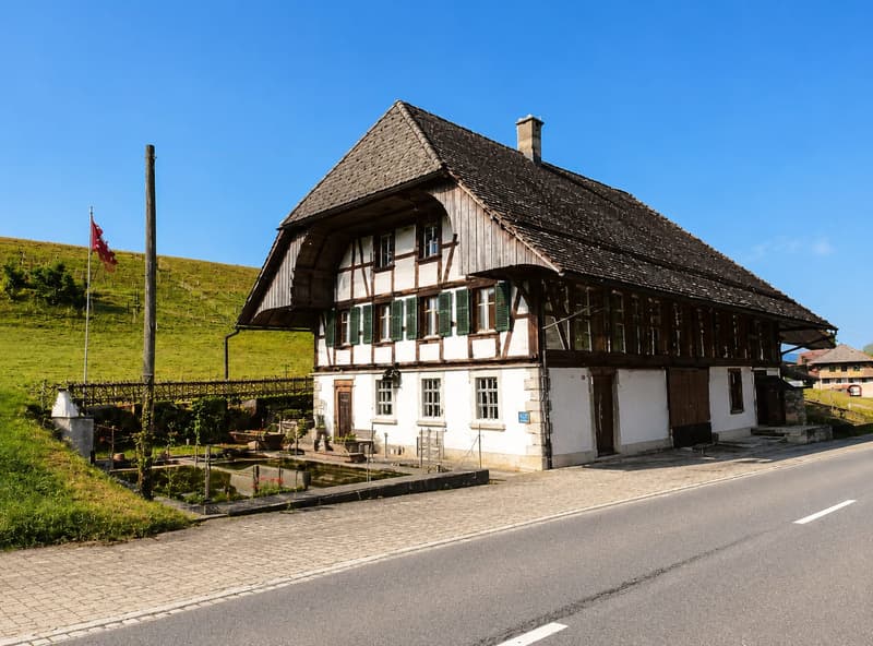 Casa residenziale e commerciale di 3 camere con charme, Oeschenbach - in vendita (1)