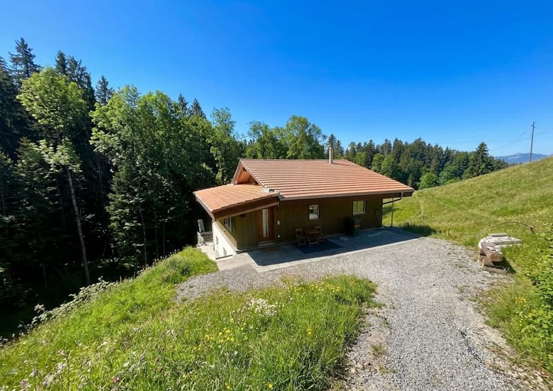 Exclusive solitary property with large surroundings in Goldiwil - sunny & absolutely private (4)