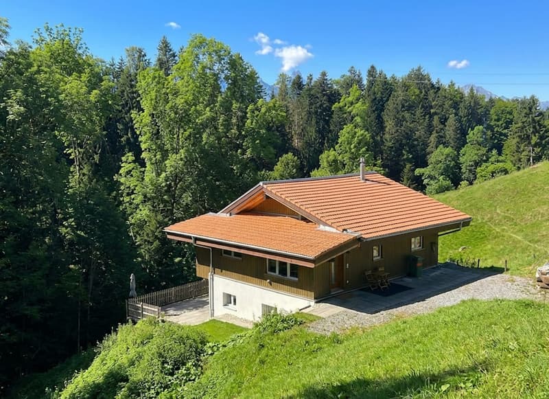 Exclusive solitary property with large surroundings in Goldiwil - sunny & absolutely private (2)
