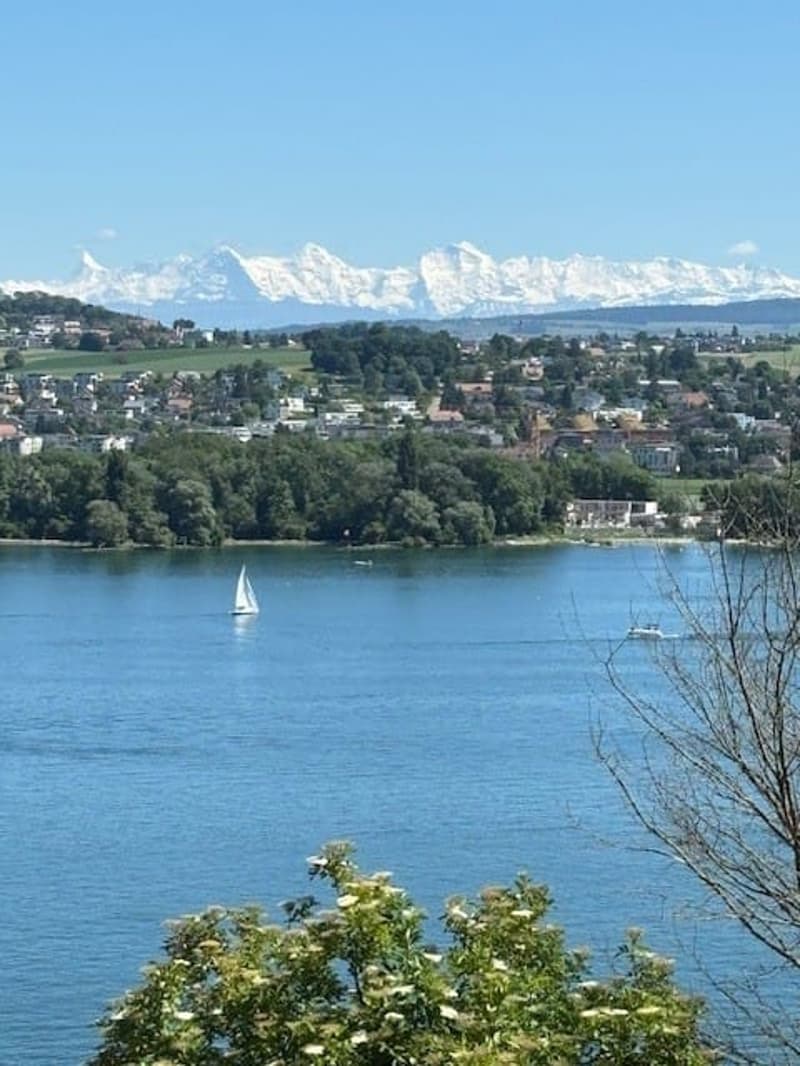 Stylish 7-room villa with lake view in Biel for sale (2)