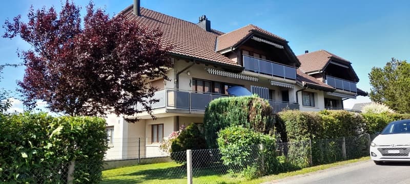 4.5-Zi.-Dachwohnung mit Cheminée kaufen in Messen (SO) (1)