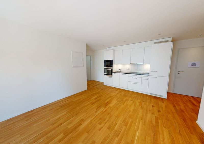 Exclusive 2.5-room attic apartment with 48 m² sun terrace – available for rent from August 1, 2026 (2)