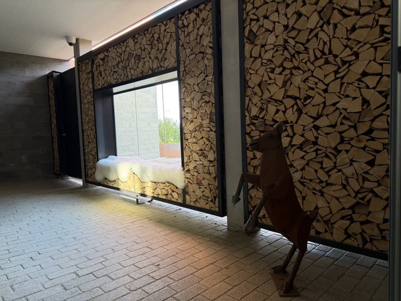 2.5 Zimmer Gartenwohnung (12)