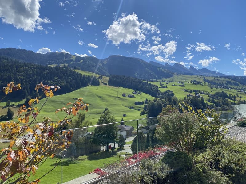 Charmant studio 1.5 pièces avec panorama montagnard à Wildhaus (13)