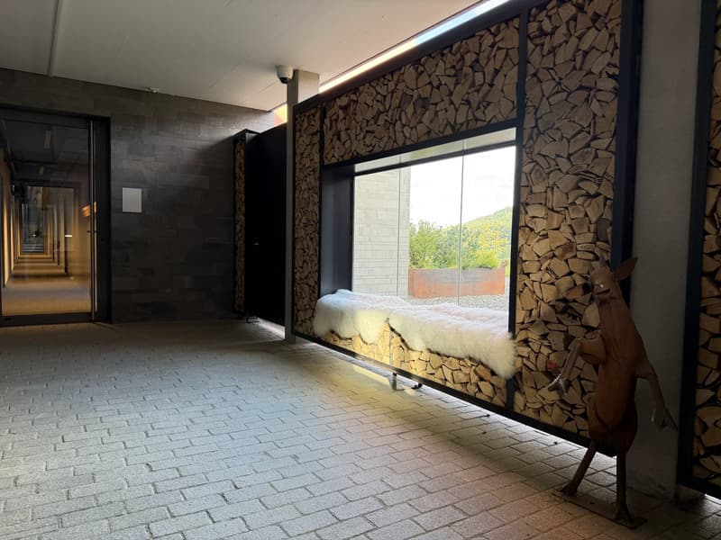 Charmant studio 1.5 pièces avec panorama montagnard à Wildhaus (12)