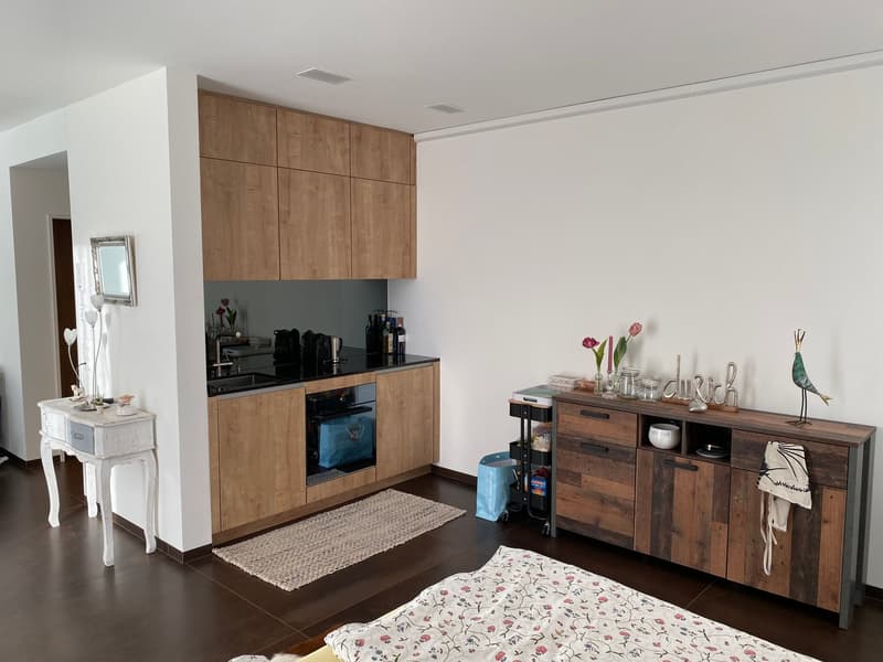 Charmant studio 1.5 pièces avec panorama montagnard à Wildhaus (9)