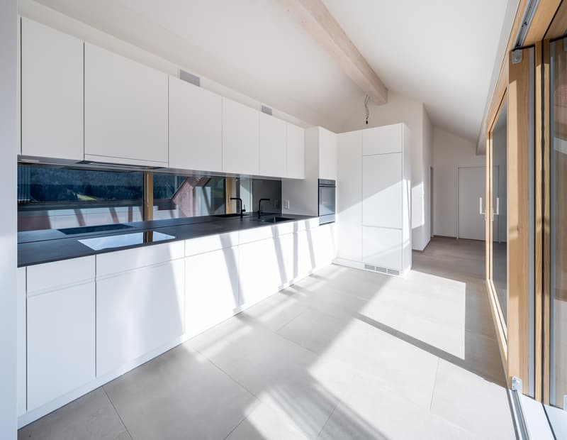 Appartamento in mansarda di 2,5 locali con loggia (10)