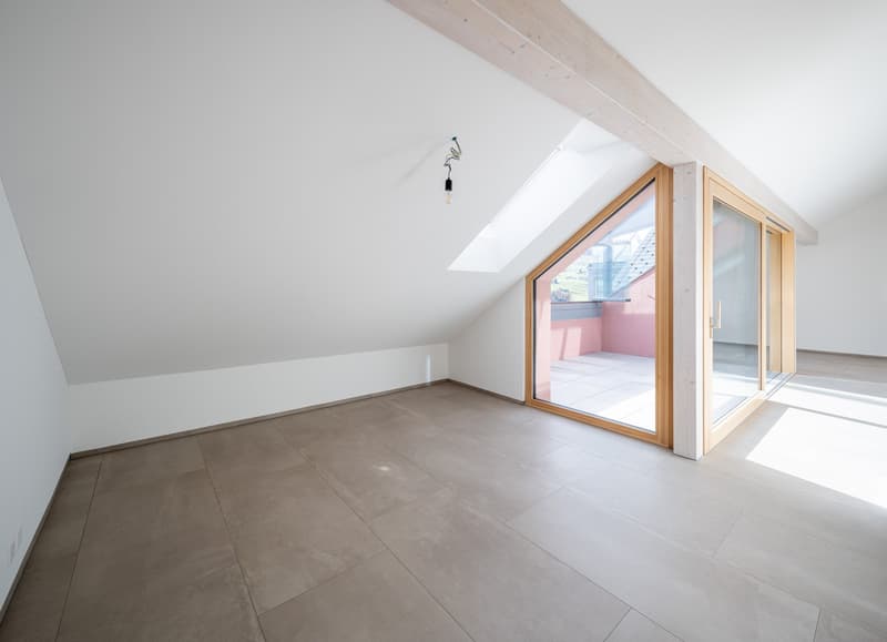 Appartamento in mansarda di 2,5 locali con loggia (5)
