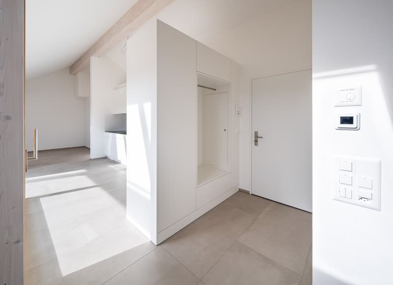 Appartamento in mansarda di 2,5 locali con loggia (6)